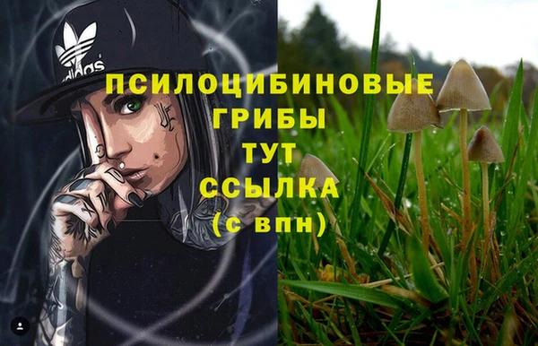 гидропоника Костерёво