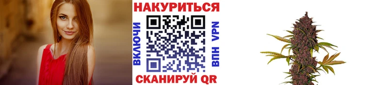 купить закладку  Псков  МАРИХУАНА тримм 